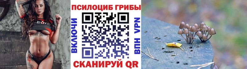 Галлюциногенные грибы мицелий как найти Котельниково